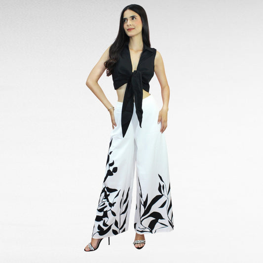 CONJUNTO DARISSA